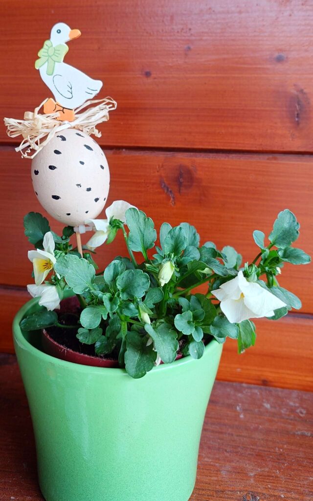 Jaro je konečně tu a Velikonoce se blíží. Tenisová hal…